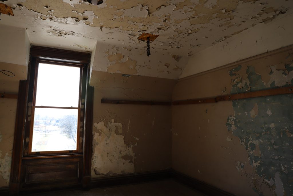 mold